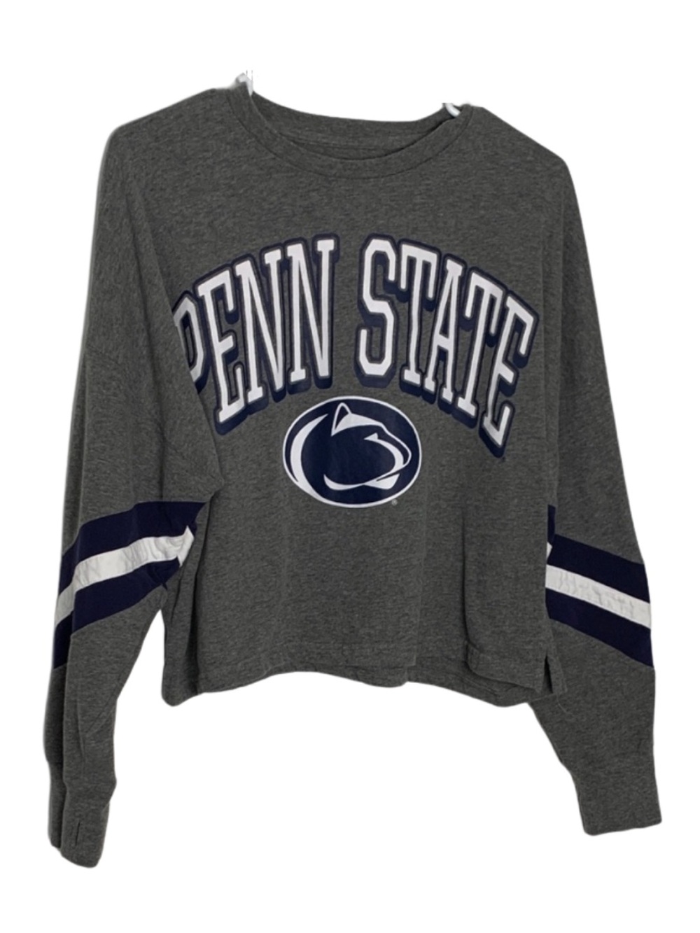 Penn State Nittany Lions Cropped Cotton Blend Sweater M Sporty 90s Soft Gray